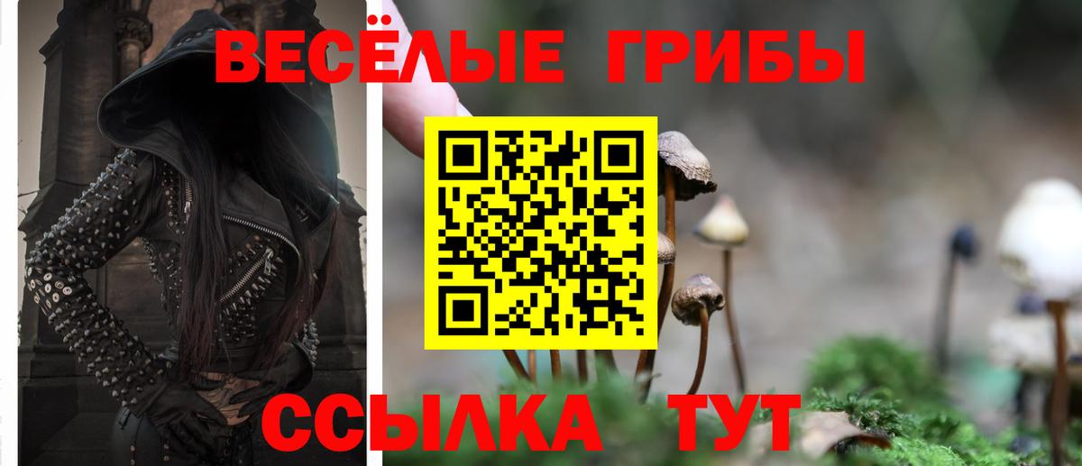 Галлюциногенные грибы Psilocybe  Вход с VPN  сколько стоит  Елец 